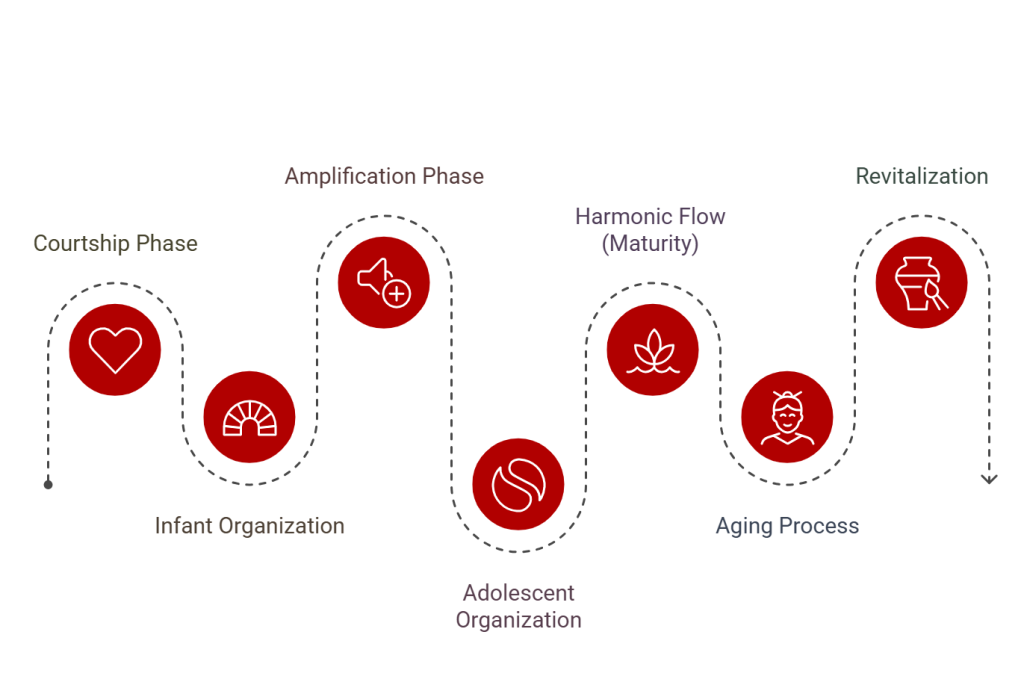 The Energy Journey of an Organization